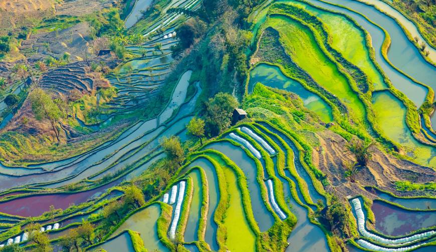 走进绍兴TVC拍摄：解锁本地化场景与创意镜头的完美融合
